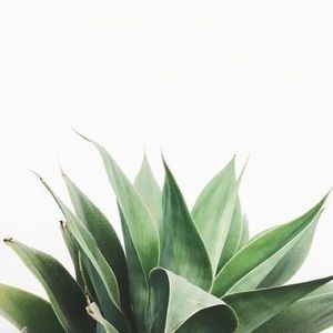 Meet your Posher, Farnaz